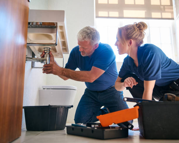 Best Residential Plumbing Services  in Crystal Lake, IL